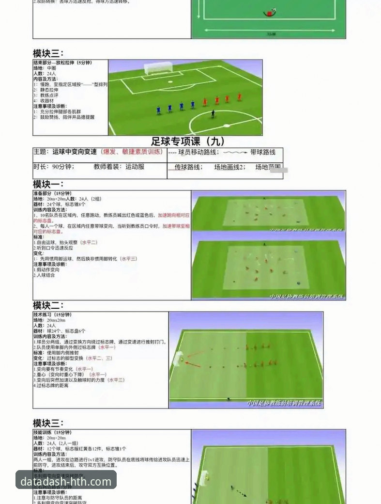 从裁判风波到国家队选帅：奥尔西深度观点解读操作教程